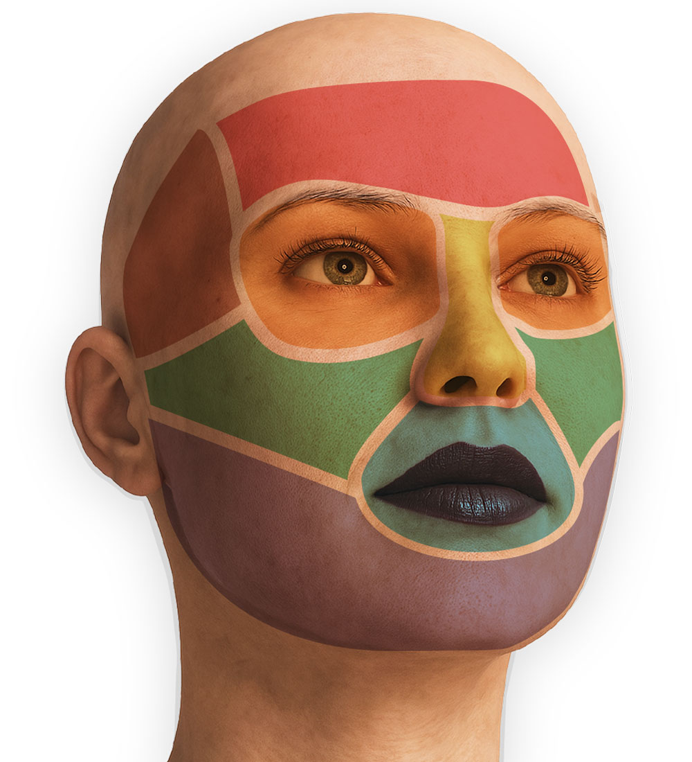 Regiones anatómicas del rostro