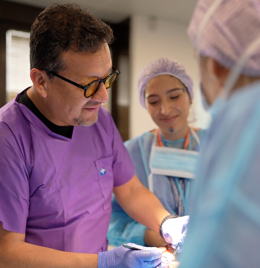 Cadaver Lab Verona Cum Laude