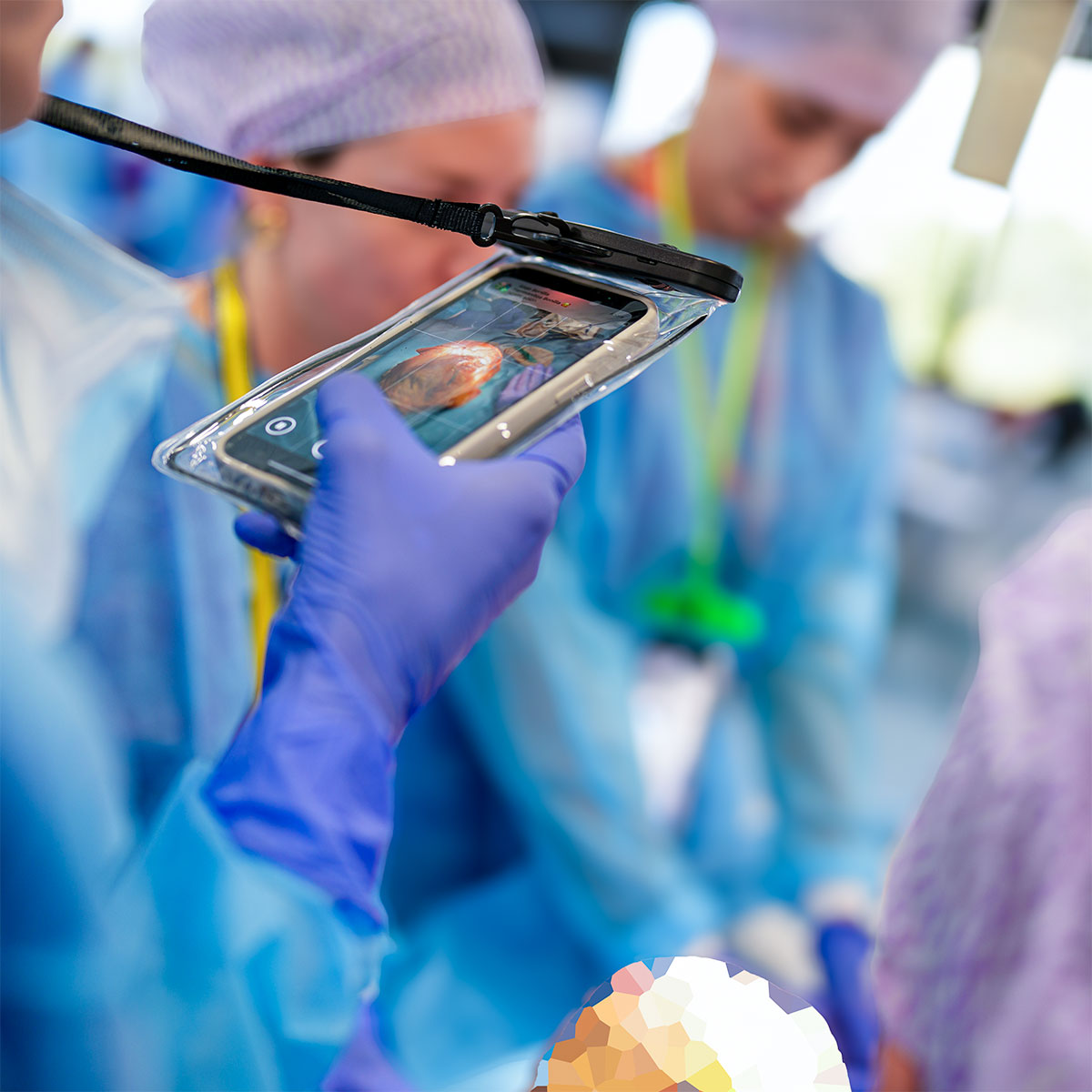 Cadaver Lab Verona Cum Laude