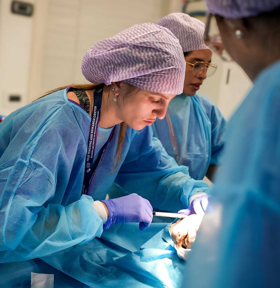 Cadaver Lab Verona Cum Laude