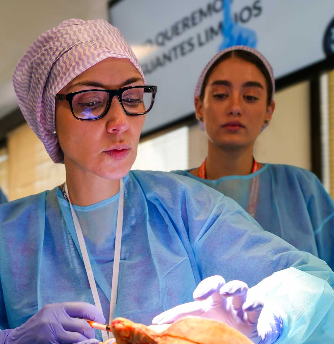 Cadaver Lab Verona Cum Laude